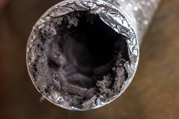 Best HVAC Air Duct Cleaning  in Galena, IN